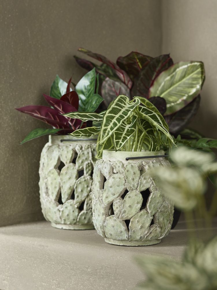 groen-in-het-interieur-bloempot